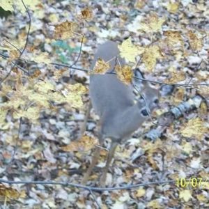 Meet your Posher, Amie michael